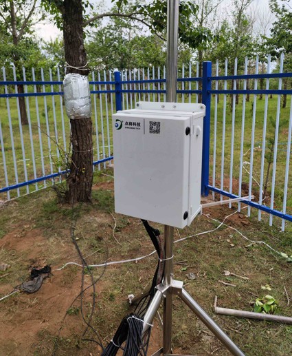 插針莖流(TDP法)監(jiān)測系統(tǒng) 插針莖流(TDP法)監(jiān)測系統(tǒng)